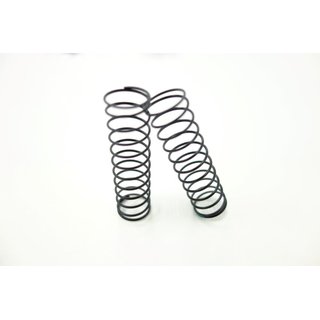 SWORKz Sto�d�mpferfeder hinten 1,2x6,0 (2)