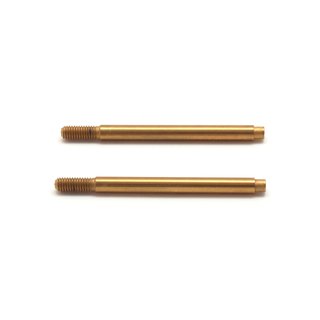 SWORKz Kolbenstange Sto�d�mpfer kurz (2)