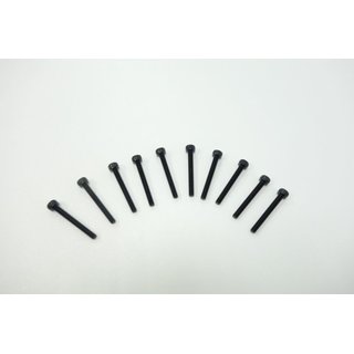 SWORKz Zylinderkopfschraube Inbus M3x25mm (8)