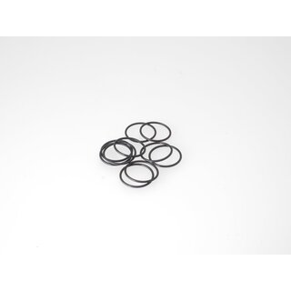 Kyosho O-RING CRANKCASE TORQUE/BOOST.21 (2 ST)