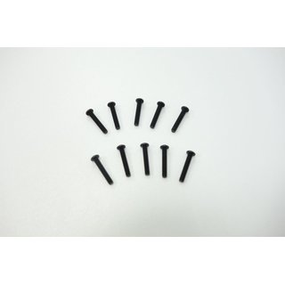 SWORKz Linsenkopfschraube Inbus M2,5x14mm (10)