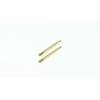 SWORKz S35GT BBS System Kolbenstange vo+hi (2)