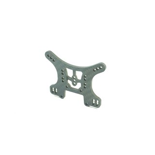 SWORKz Sto�d�mpferplatte hinten Pro Composite Carbon