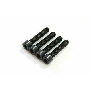 Alpha Plus Cooling Head Screw (4pcs)