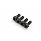 Alpha Plus Backplate Cover Screw (4pcs)