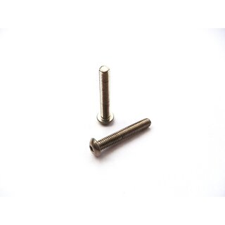 Hiro Seiko Titanium Hex Socket Button Head Screw M4x25