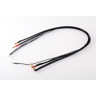 RUDDOG 2S Charging Lead 60cm (4/5mm,2mm)(4mm,3PIN-EH)