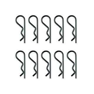 Team Associated Large Hood Pins