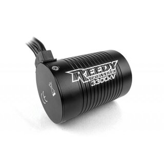 Team Associated Trophy Rat RTR