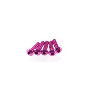 Hiro Seiko Alloy Hex Socket Button Head Screw M3x12...