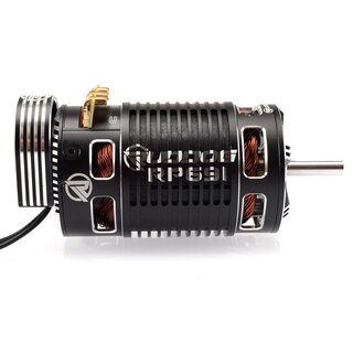 RUDDOG RP691 2000KV 1/8 Sensored Competition Brushless Motor