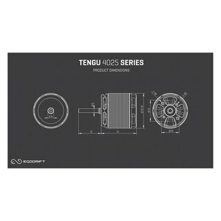 Tengu 4025HS 550kV Motor 6x32mm