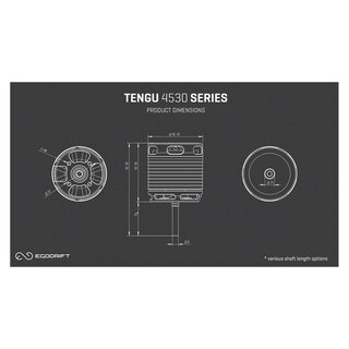 Tengu 4530HT 510kV Motor (55mm Schaft)