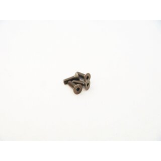 Hiro Seiko Titanium Hex Socket Flat Head Screw M2.5x8mm (4pcs)