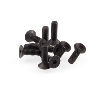 RUDDOG M4x14mm Flat Head Screws (10pcs)