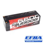 RUDDOG Racing 6600 (99.9Wh) 150C/75C 15.2V LCG 1/8 Pack...