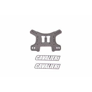 SWORKz S14-3 Carbon Stodmpferhalterung hinten by RC Carbon Cavalieri