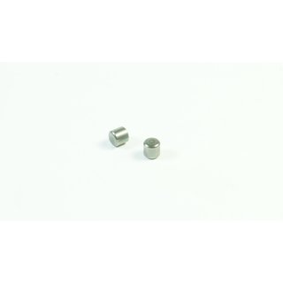 SWORKz Stift 5 x 4,9mm (2)