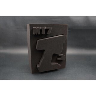 Koswork Sanwa M17 Transmitter Foam