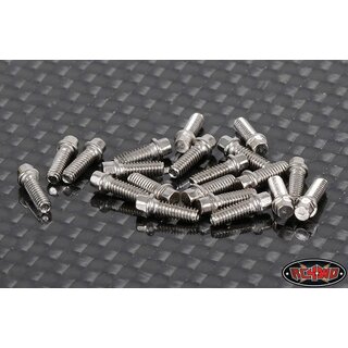 RC4WD Miniature Scale Hex Bolts (M2 x 6mm) (Silber)