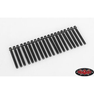 RC4WD Miniature Scale Hex Bolts (M2 x 16mm) (Black)