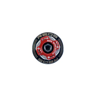 REDS TETRA-X CLUTCH ADJUSTABLE 4 ALU SHOES KIT OFF ROAD STEEL FLYWHEEL 34mm