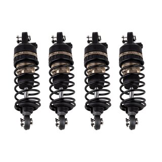 Team Associated Apex2 Hoonicorn Kit