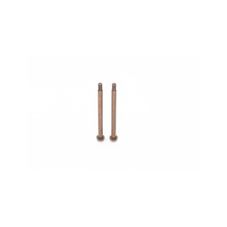 RC-Project Rear Hub Carrier Hinge Pin for Team Associated...