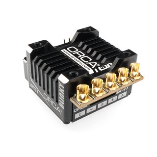 ORCA OE1 WLEB Blinky ESC