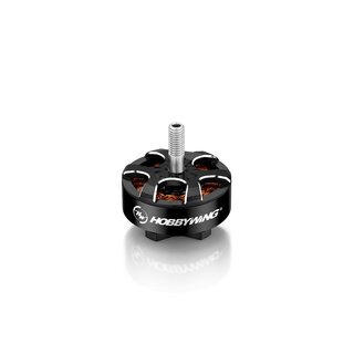 Hobbywing XRotor 2807 D34x20 D5 1700kV 4s Lipo