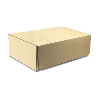 Papp-Austauschbox (fr R14010)