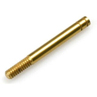 Sto�d�mpfer-Kolbenstange (2 St�ck)