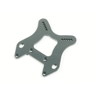 SWORKz D�mpferplatine Vorne S350